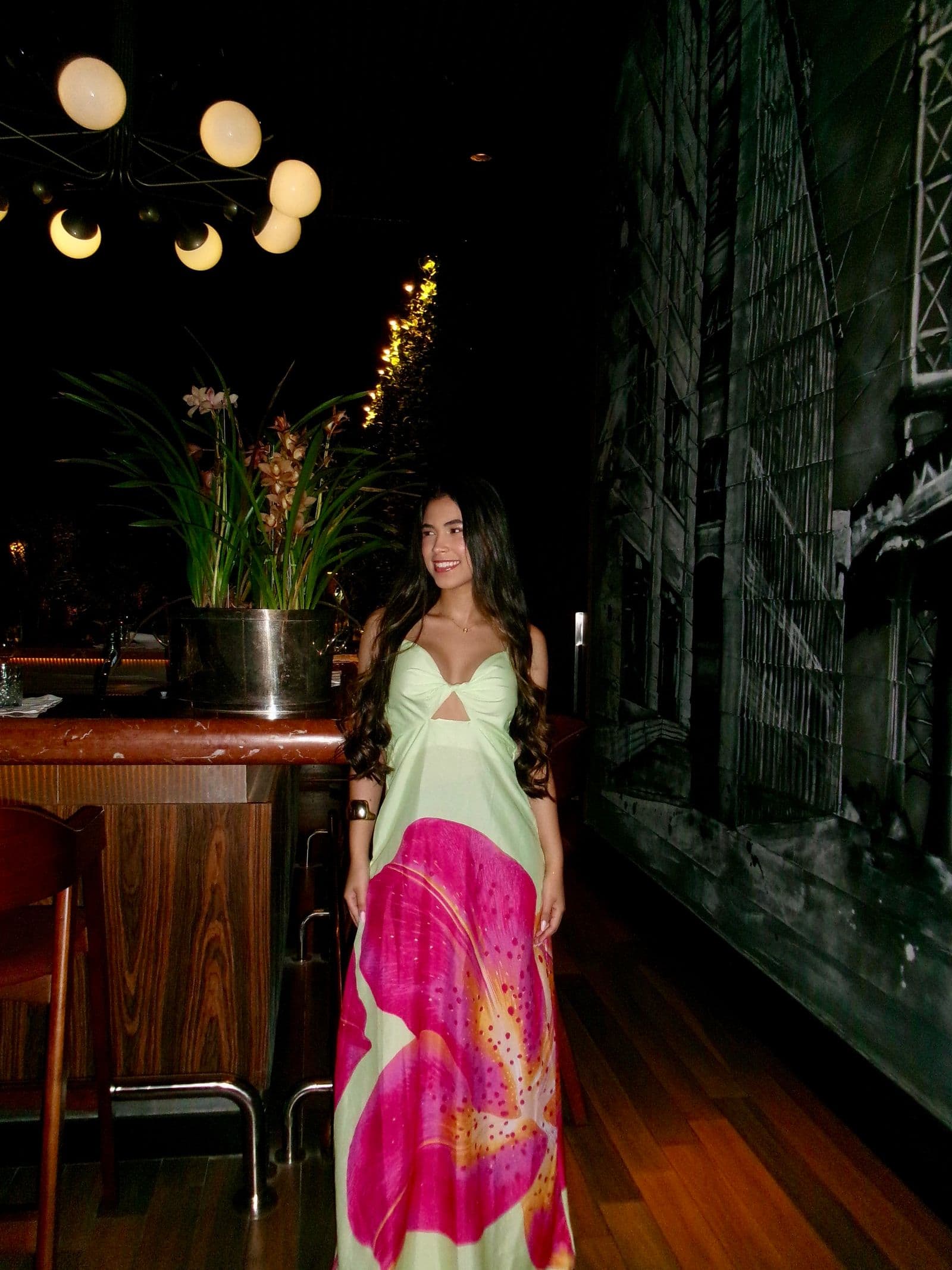 Vestido Alexa 3